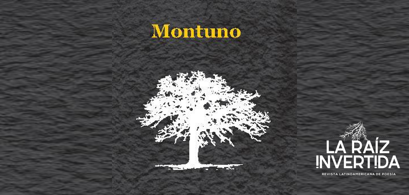 Montuno, la exaltación del paisaje y el recuerdo