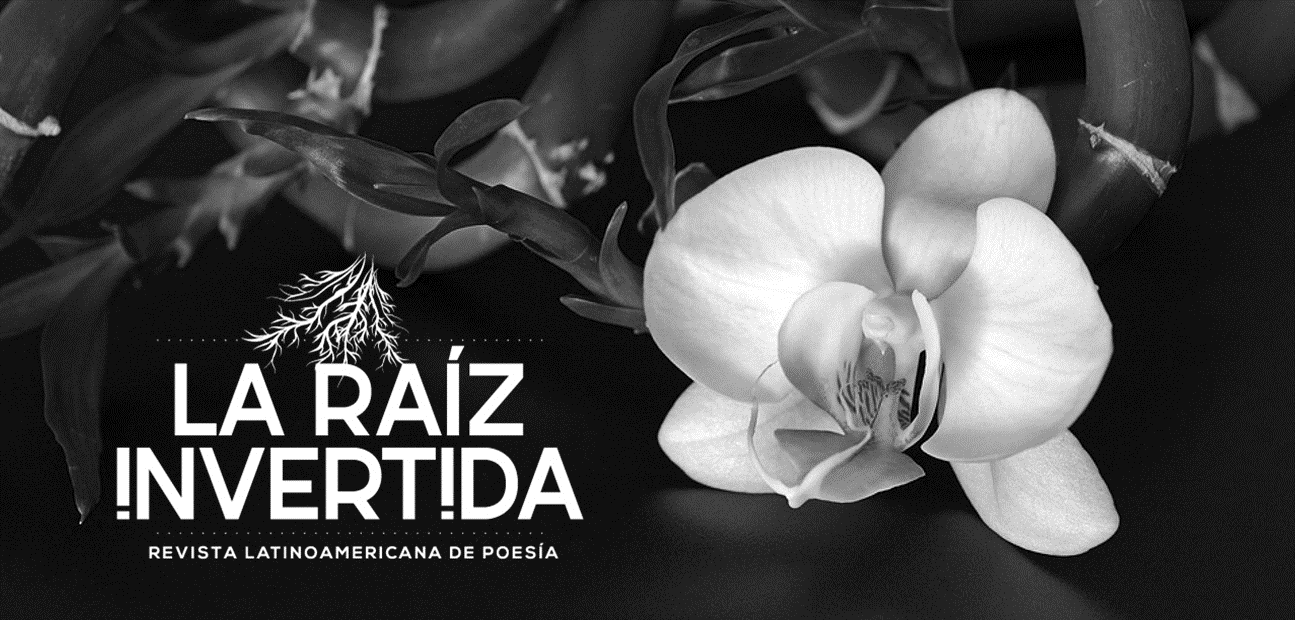 Orquídeas negras- selección comentada de poemas de Mery Yolanda Sánchez 